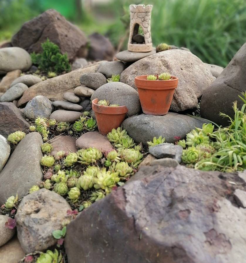 Pierre naturelle rocaille galet jardin