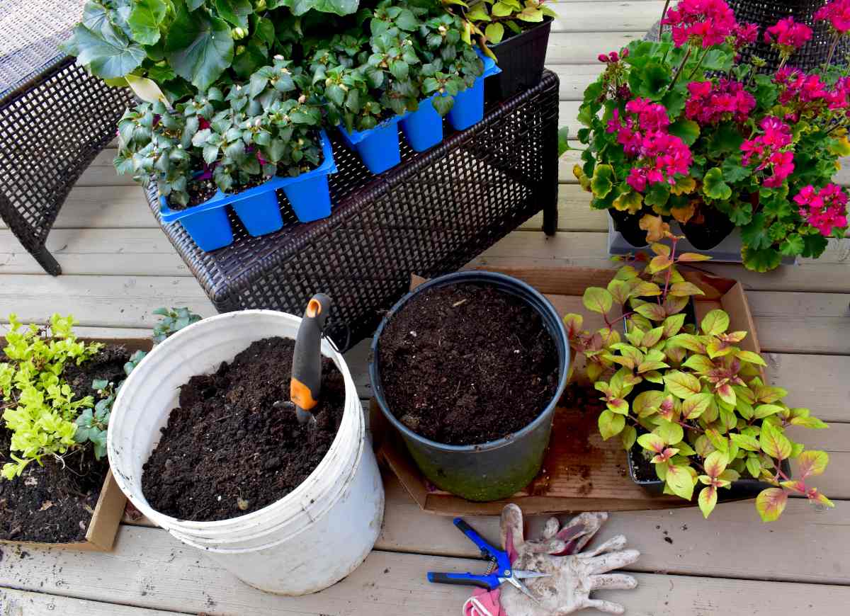 Comment choisir du terreau en jardinerie ?