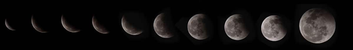 Jardiner avec la lune en novembre : le calendrier lunaire (2024)