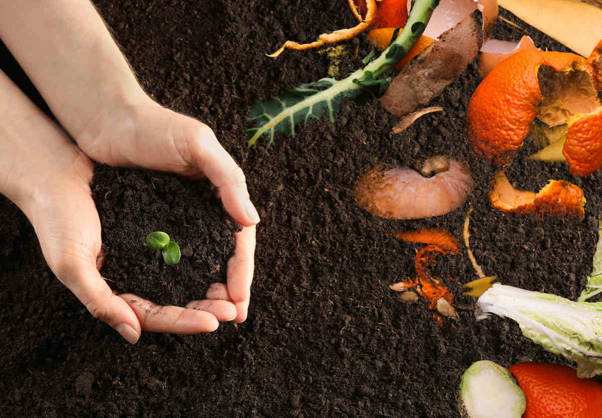 7 conseils faciles pour que votre bac à compost soit moins