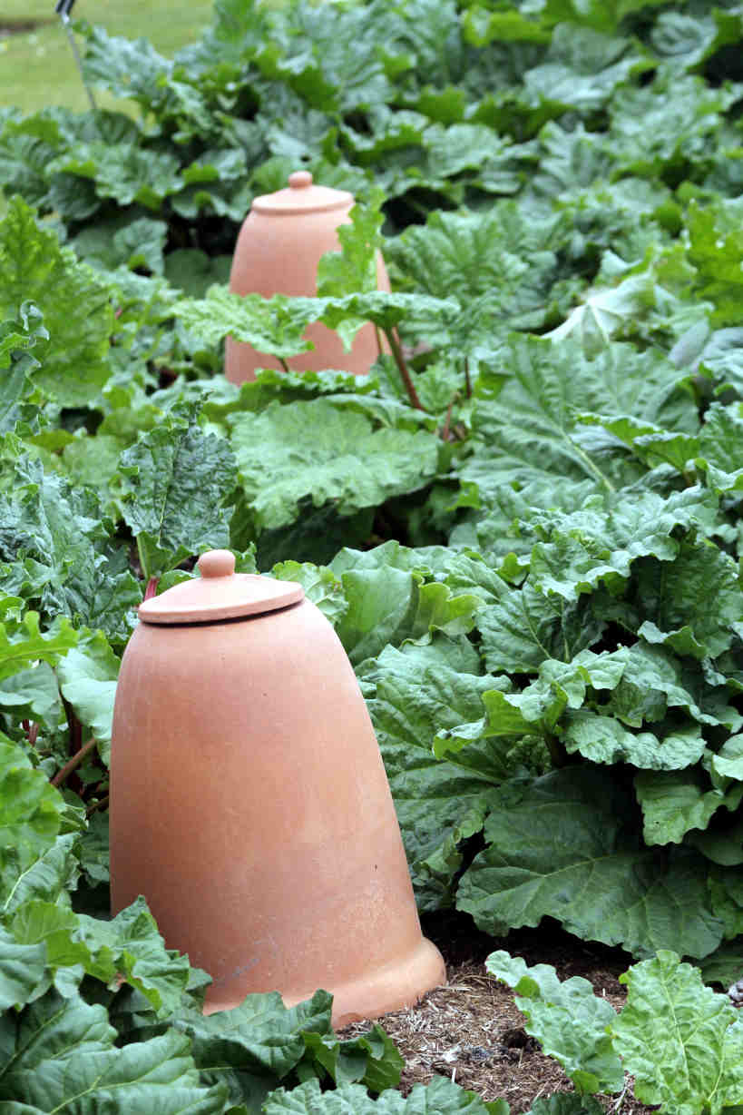 Ollas pots d'irrigation – Aide à l'arrosage dans le jardin