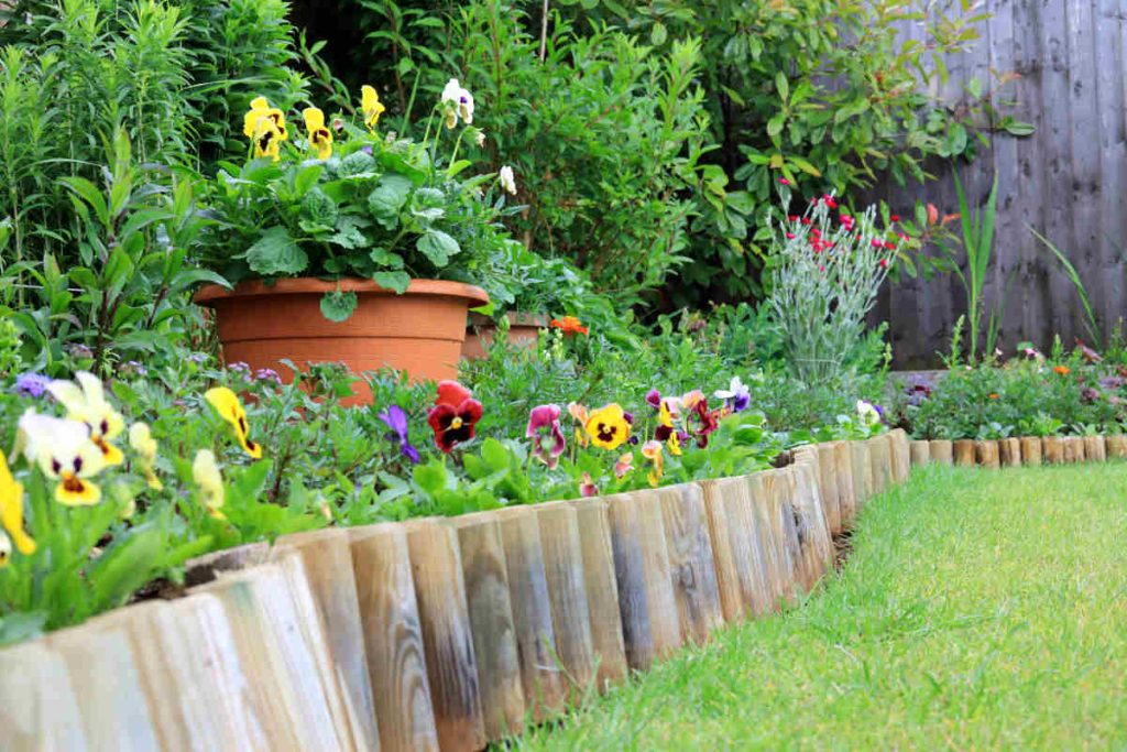 conseil bordure jardin massif