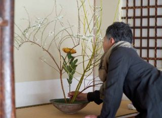 ikebana création