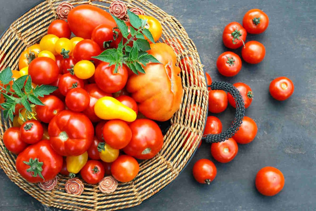 Comment conserver les tomates longtemps