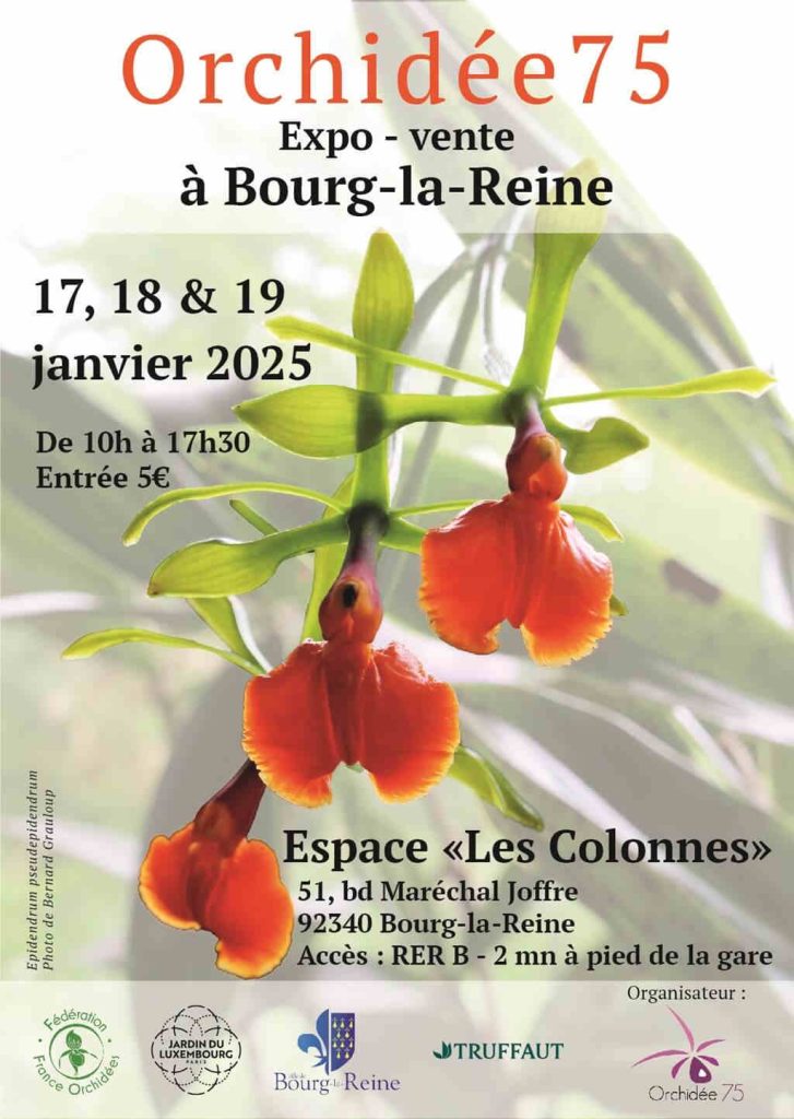 exposition orchidée Bourg-la-reine 2025