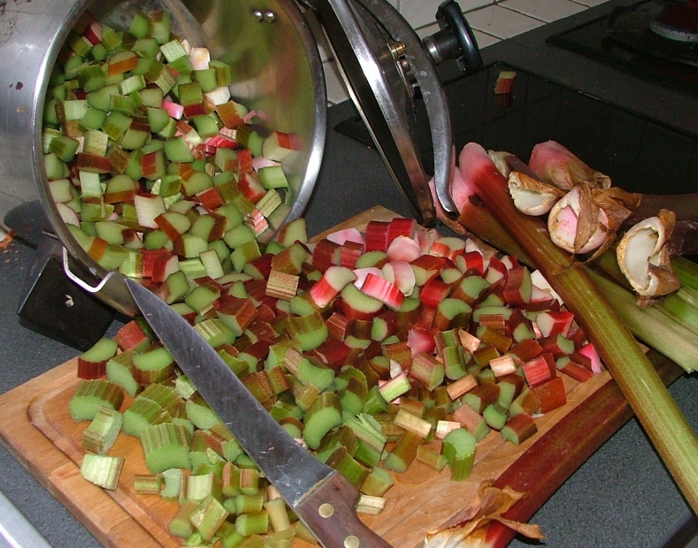 Confiture de rhubarbe la délicieuse recette